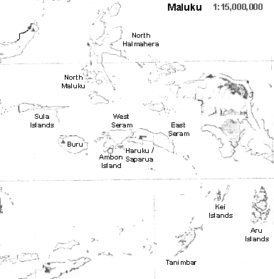 MalukuI (22143 bytes)
